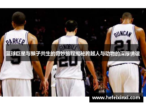 篮球巨星与猴子共生的奇妙旅程揭秘跨越人与动物的深厚情谊